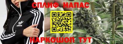 ECSTASY Коммунар