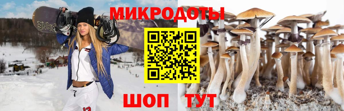 Псилоцибиновые грибы мухоморы  магазин продажи   Кашира  Псилоцибиновые грибы MAGIC MUSHROOMS  Вход с VPN 